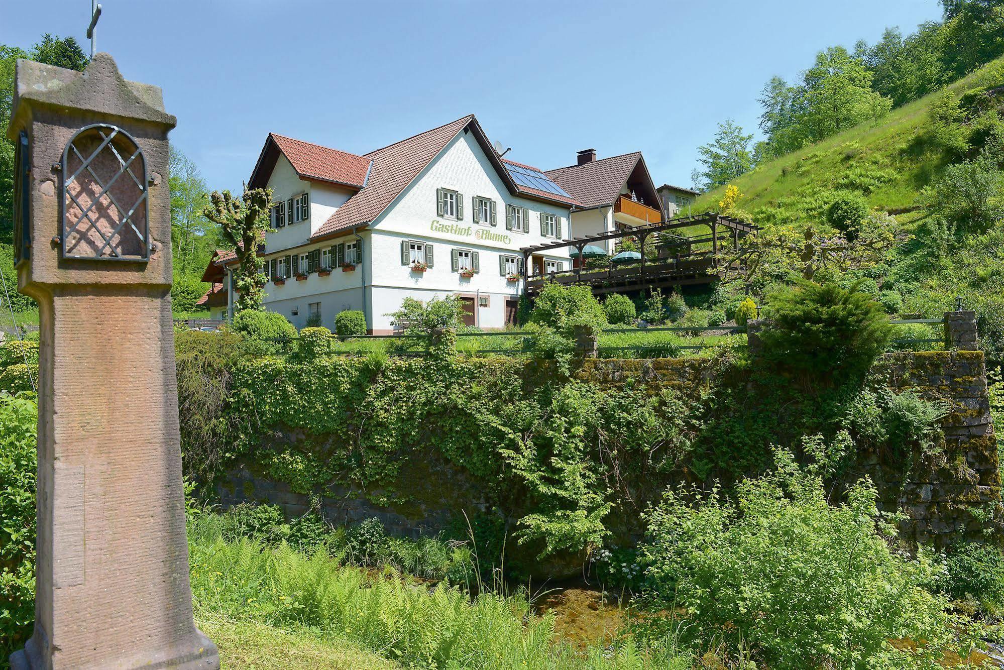 Hotel - Gasthof Blume Oppenau Dış mekan fotoğraf