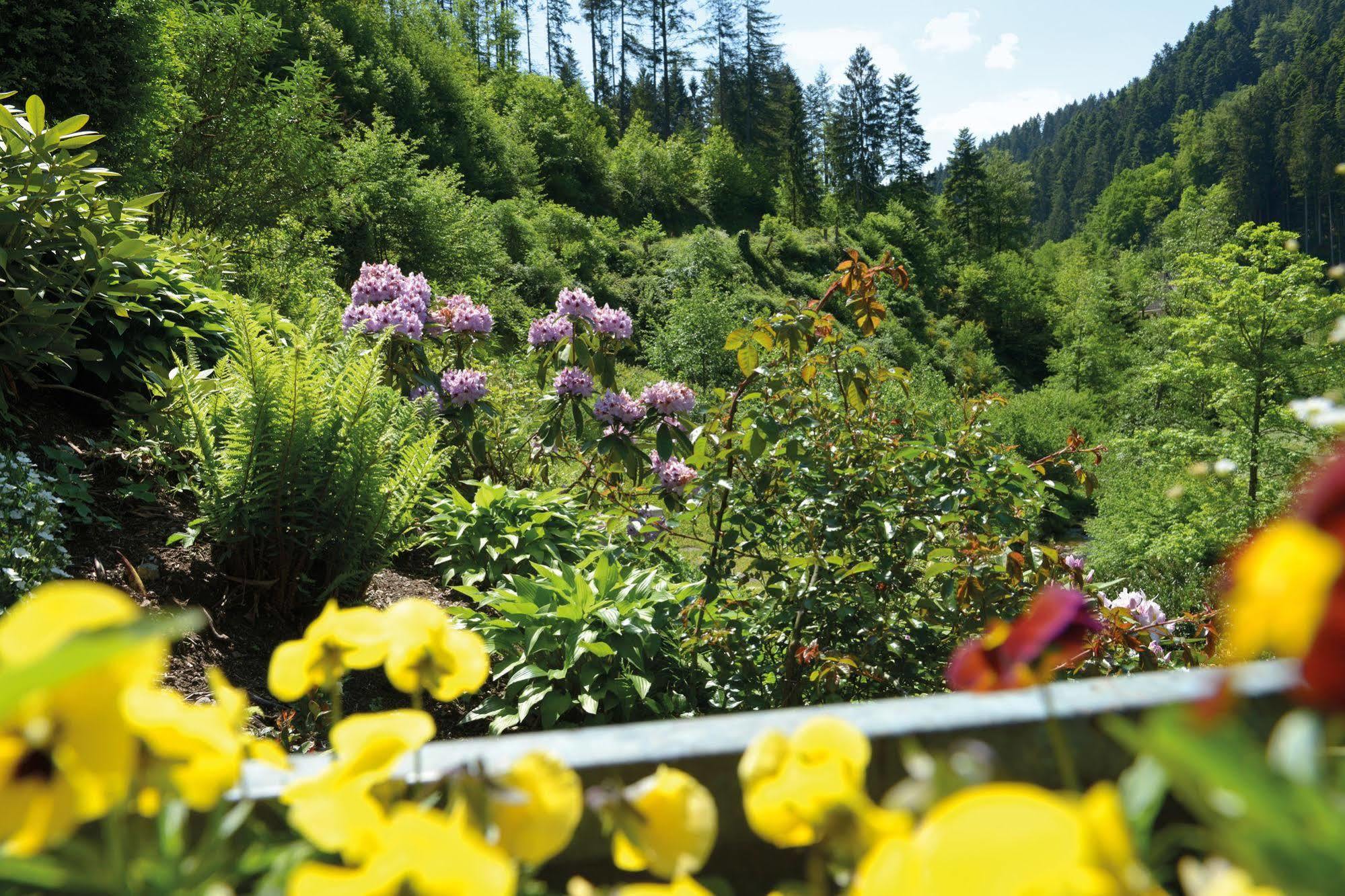 Hotel - Gasthof Blume Oppenau Dış mekan fotoğraf